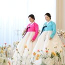 진선진미