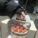 케이크렛(CAKELET)