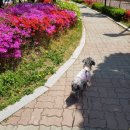 길따라행복 이미지