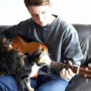 귀환농장 이미지