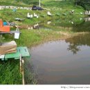 새물낚시터 이미지