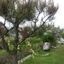 용추민박 이미지