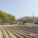 오운1리 이미지