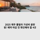 보니또펫 | 2025 제주 풀빌라 가성비 끝판왕! 예약 마감 전 확인해야 할 4곳