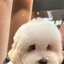 한올디테일그루밍 이미지