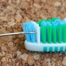 바늘과실 이미지