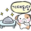 비건체험학습
