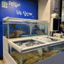 순돌이 활어직판장 이미지