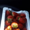 반석농장 이미지