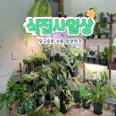 개미당근마켓
