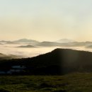 유정목장 이미지