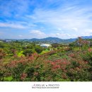 삼성현역사문화공원 티스토리