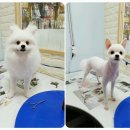 오송프렌즈샵
