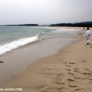 고래불 해수욕장 이미지