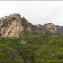 노적봉농장 이미지