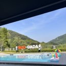 우다다애견펜션 | 가평 애견동반펜션 우다다 수영장 펜션 내돈내산 방문후기, 가평 장어포장 추천