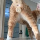 온아동물의료센터 이미지