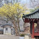 의사김응삼순절비 이미지