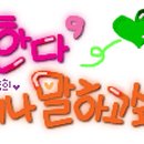 마이쏭 Daum카페