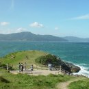 바람의언덕 이미지