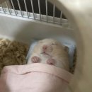 데이투모로우 이미지