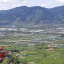 송재한의원 | 봄소풍_지초봉_철쭉동산_지리산정원_번덕뜰축제_마을길_쵸콜렛_주먹밥