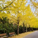 거창읍-25 이미지