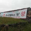 동광리-5 이미지