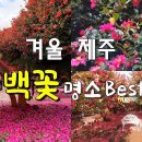 동백4로 이미지