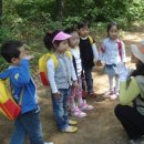 일동초병설유치원 이미지