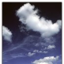 꿈꾸는 물고기 이미지