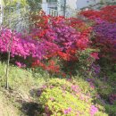 해운대센텀호텔 이미지