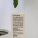 뉴니스디자인 이미지