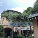 장원능이백숙 | 양주 장흥계곡 식당 능이백숙 맛집 장원 내돈내산 후기