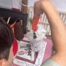 청룡세탁소 이미지