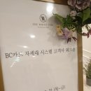 더화이트시스템