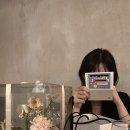 피크닉케이크 - 안산시 상록구 예술광장로 1 | 피크닉케이크