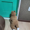후니농장 네이버블로그