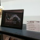 무술년 테마전 아시아의 개 | ACC 무술년 테마전 "아시아의 개"