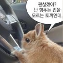 세종 미용실 예빈헤어 시크릿점 뿌리매직 후기