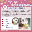 추련 이미지