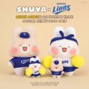 비젼케이 이미지