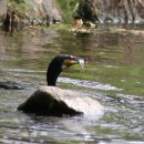 백화낚시터 이미지