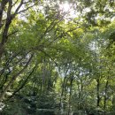 수궁펜션 | 충주 송계계곡 펜션 / 충주 수궁펜션