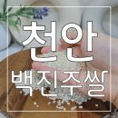 업성정미소 | 직접 도정해서 보내 주니 신선함이 남다른 맛있는 햅쌀 천안 백진주쌀 10kg 후기