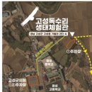 고성군 6 | 2025년 제6회 고성독수리생태축제 주차,먹거리,체험 후기 (아이와 가기 좋았어요 전 만족!)