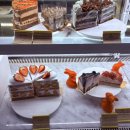 방배천로4안길 48 | [사당역•카페 거북이]사당역 비건베이커리 케이크 맛집 카페 거북이🐢💛내돈내산 후기임니동💛