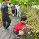 제갈농장 이미지