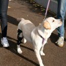 (주)핸더바이오닉스 이미지