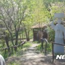 황지연못 가는길 이 이미지